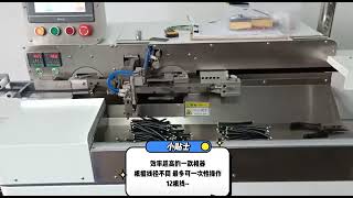 Fully Automatic Double Head Tinning Machine Equipment