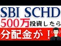 【SBI・SCHD】新NISAで500万円を一括投資!配当金は?