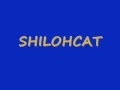 SHILOHCAT MY MEOW FRIEND