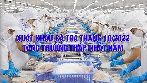 Top 10 dn xuat khau ca tra 10 thang 2023 năm 2024