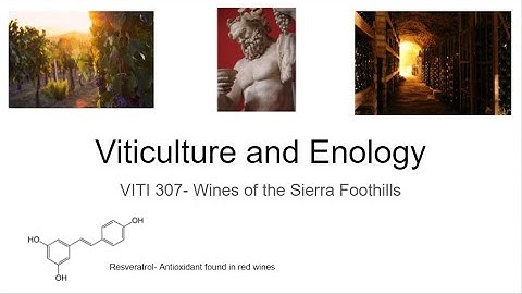 Lecture 2- VITI 307 Viticulture and Enology