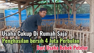 Work From Home and Earn 4 Million Rupiah Net Salary Every Month from Raising Laying Ducks