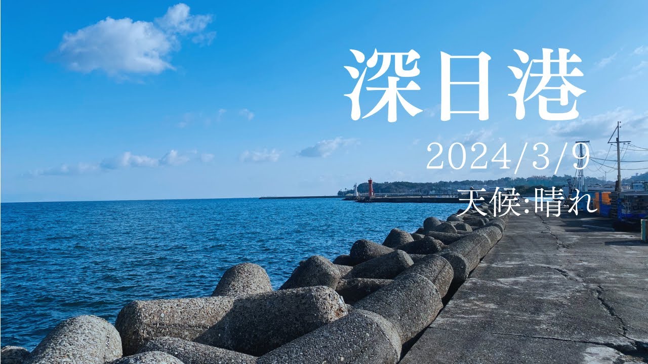 【釣り】3月頭の深日港の釣果はこんな感じ【深日港】