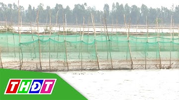 Đồng Tháp: Đánh giá mô hình sinh kế cá đồng - cá tự nhiên | THDT