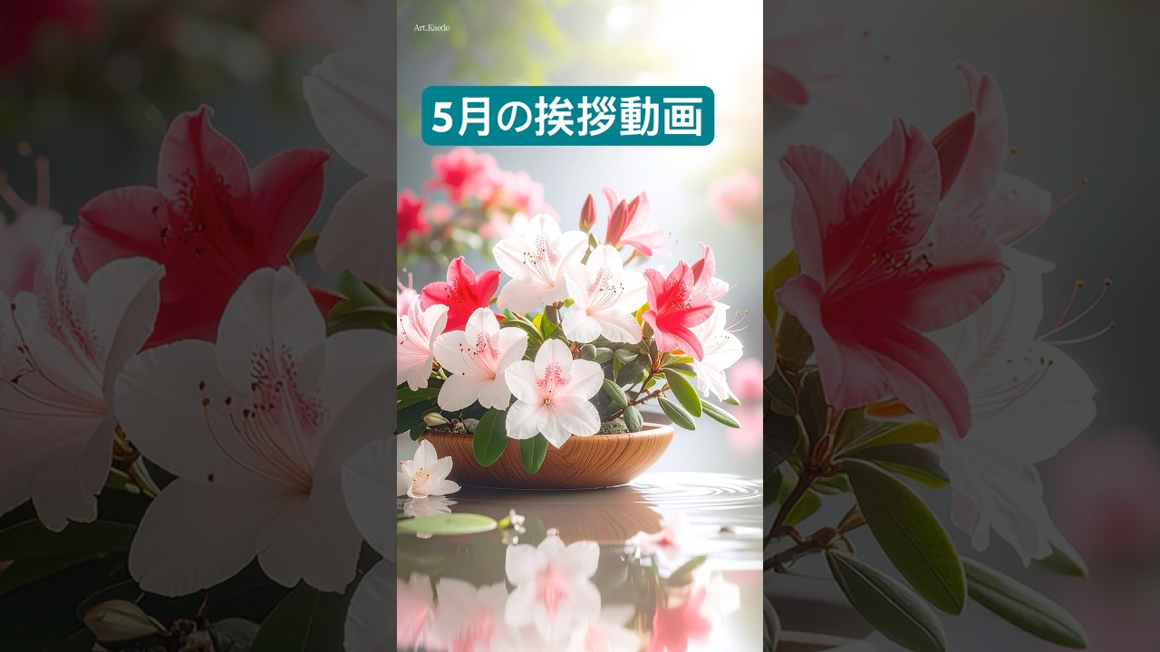 【５月の挨拶動画 つつじの花 癒し動画】初夏の風景をlineで送れる癒しのカード