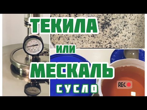 Video: Iz česa Je Narejena Tekila