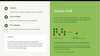 Natural Selection vs. Genetic Drift - A Hike Through Evolutionary Biology  (Student explanation)