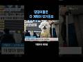 댕댕이가 귀성길을 참는 이유
