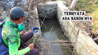 Selokan kecil Pinggir Jalan tol yang masih melimpah ikan nya