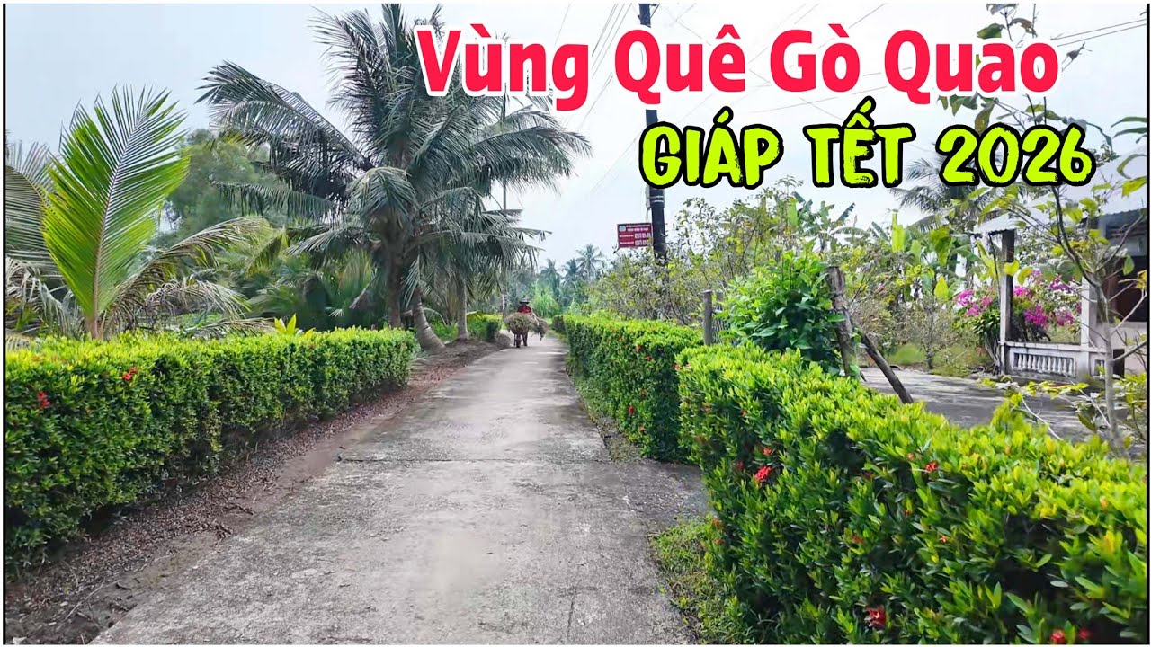Khám Phá Vùng Quê Gò Quao - Những Ngày Giáp Tết 2026 | Lâm Ái Vlog