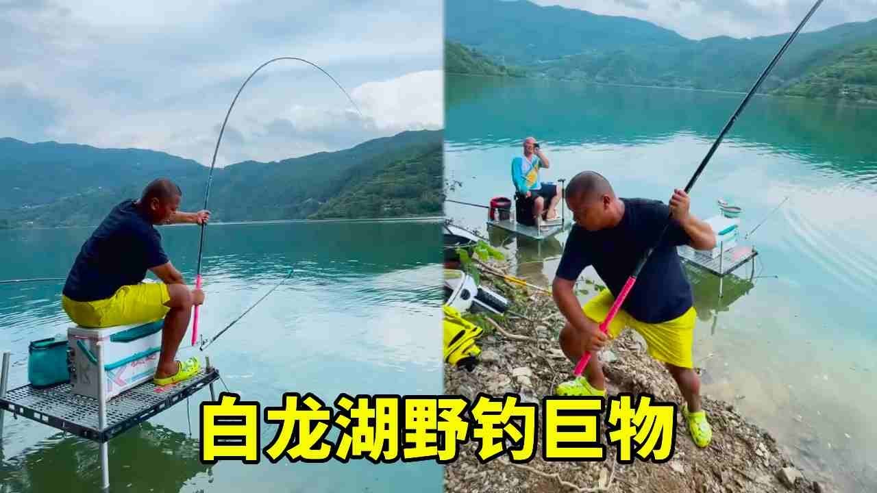 白龙湖野钓，刚来就上了大货 #原来钓鱼才是抖音运动顶流 #2025dou来钓鱼 #dou是钓鱼人#钓鱼技巧 #钓鱼经验 #钓鱼视频