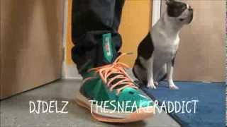 Nike Lebron 10 X Miami Dolphins 