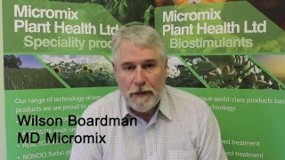 Phosphrous Deficiency Soundbite Part 1