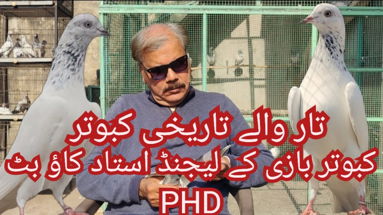 Legend ustad shuja kaow butt hostrical taar waly kabuter