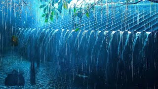 Beat Stress &amp; Goodbye Insomnia in 3 Minutes with Heavy Rain,Thunder Sounds on a Tin Roof at Night