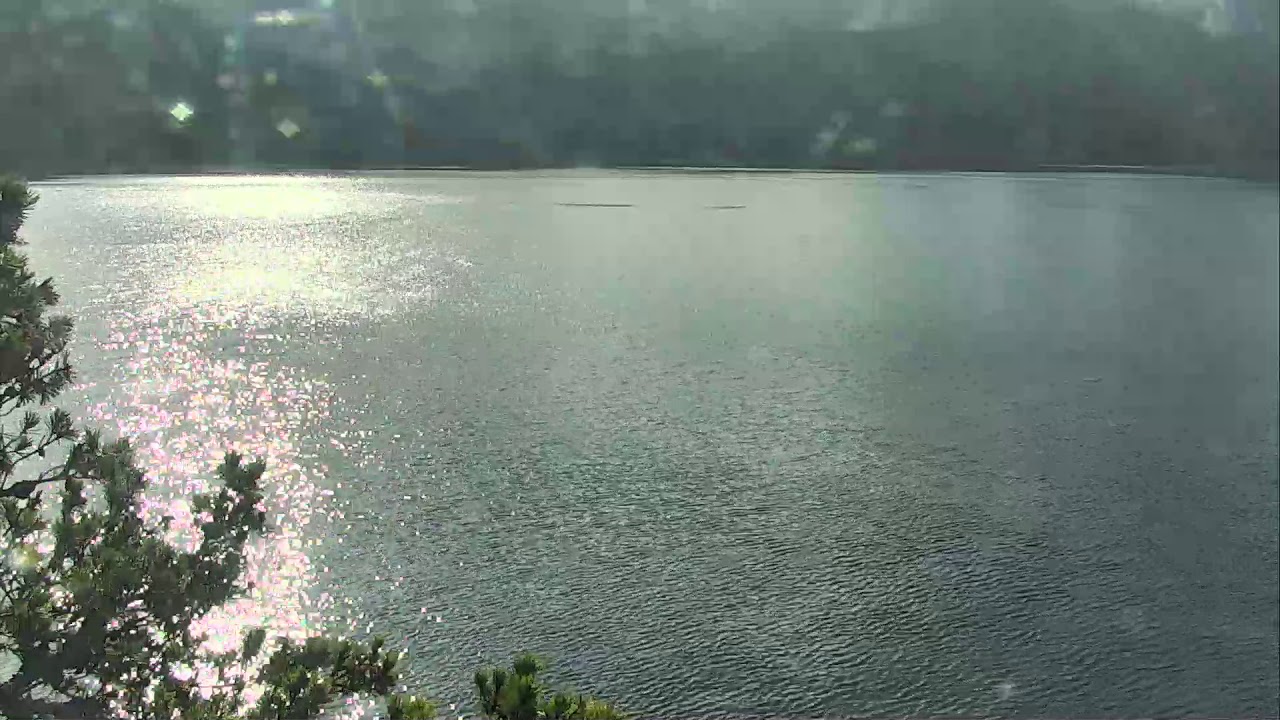 camera iphone 8 plus apk Robson Bight Orca Lookout Cam 09-24-2018 15:09:14 - 16:09:15