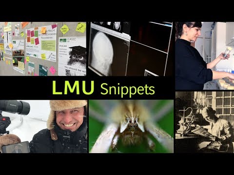 LMU Snippets