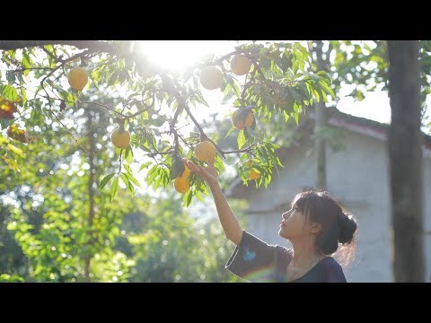 Hang a Quaint Lantern that Perfectly Befits the Peach Dishes 挂一盏观花月影灯，正配这一整桌的黄桃小食 | Liziqi Channel