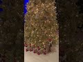 MINDSPILL - NYC