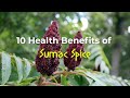 10 Health Benefits of Sumac Spice