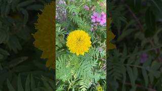 Hi Sunday Morning Dont Forget Take Care Your Self All Friend