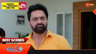 Uppena - Best Scenes | 20 May 2024 | Gemini TV