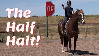 Horse Riding Lessons - The Half Halt