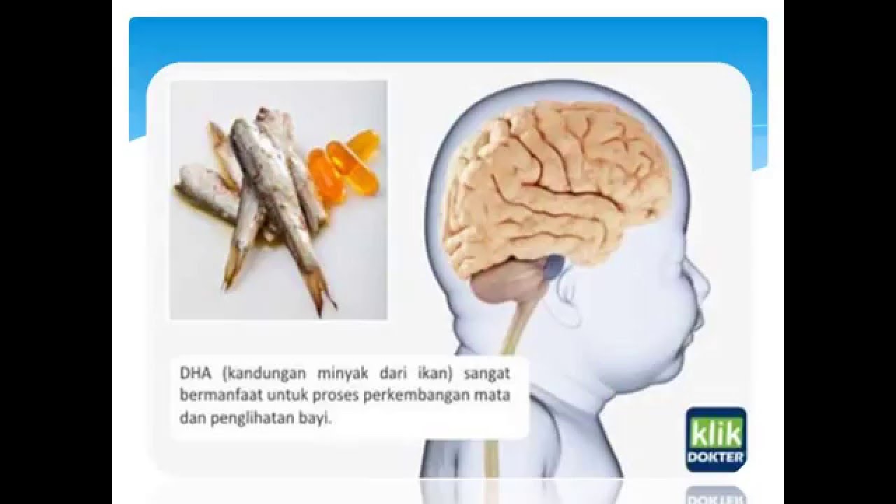  Manfaat  Minyak Ikan Untuk  Ibu  Hamil  YouTube