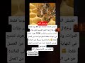 تعيش النحلة العاملة نحو 40 يوما فقط وخلال هذا العمر القصير تطير مئات المرات