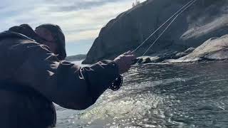 Stigfjorden 20200423