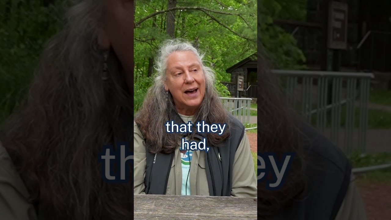 Fight for Our Forests: Climate, Tariffs & the Cost of Logging