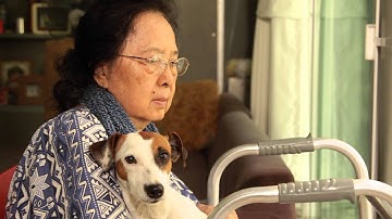 Dog Behavior and Cognition | ASUx on edX | XSeries About Video