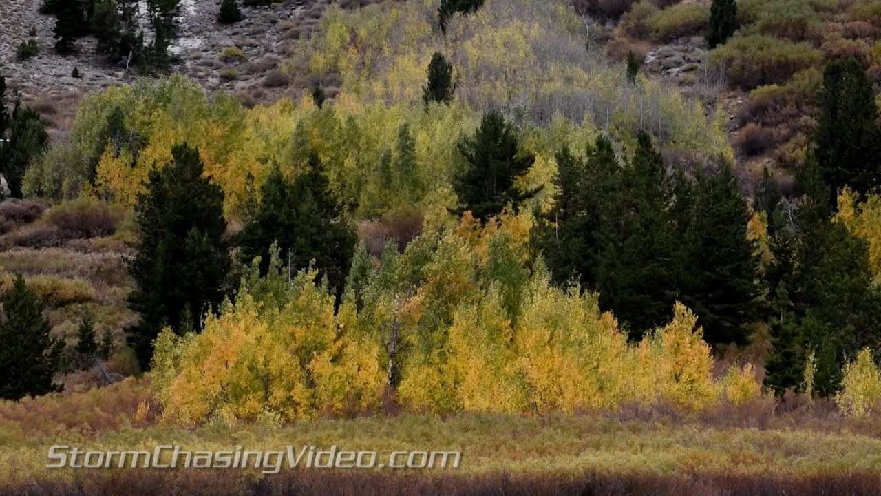 9/30/2015 Truckee & Lake Tahoe, CA Wet Autumn Day