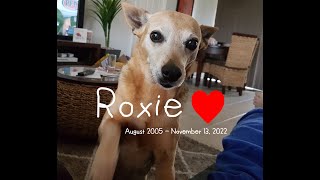 One Year without her Beautiful Face