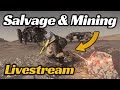 Salvage &amp; Mining Livestream: C2 + Golem + RSI Salvation in Star Citizen 4.6