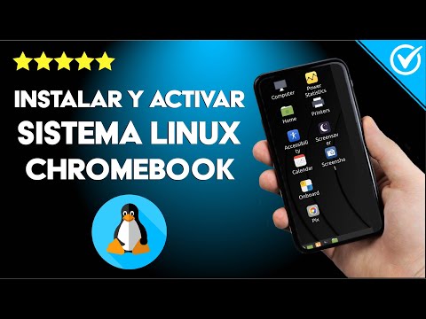 ¿Cómo instalar y activar el sistema Linux en mi CHROMEBOOK correctamente?