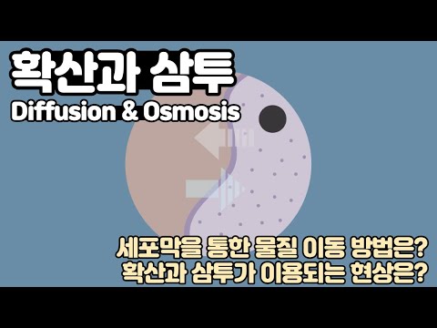 확산과 삼투 Diffusion and Osmosis