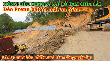 NÓNG ĐÈO MIMOSA SẠT LỞ CHIA CẮT. ĐÈO PRENN BẤT ỔN. ĐÀ LẠT MƯA LỚN NHIỀU NƠI NGẬP LỤT.