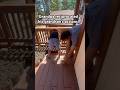 Grandpa reciprocated his grandson's actions!