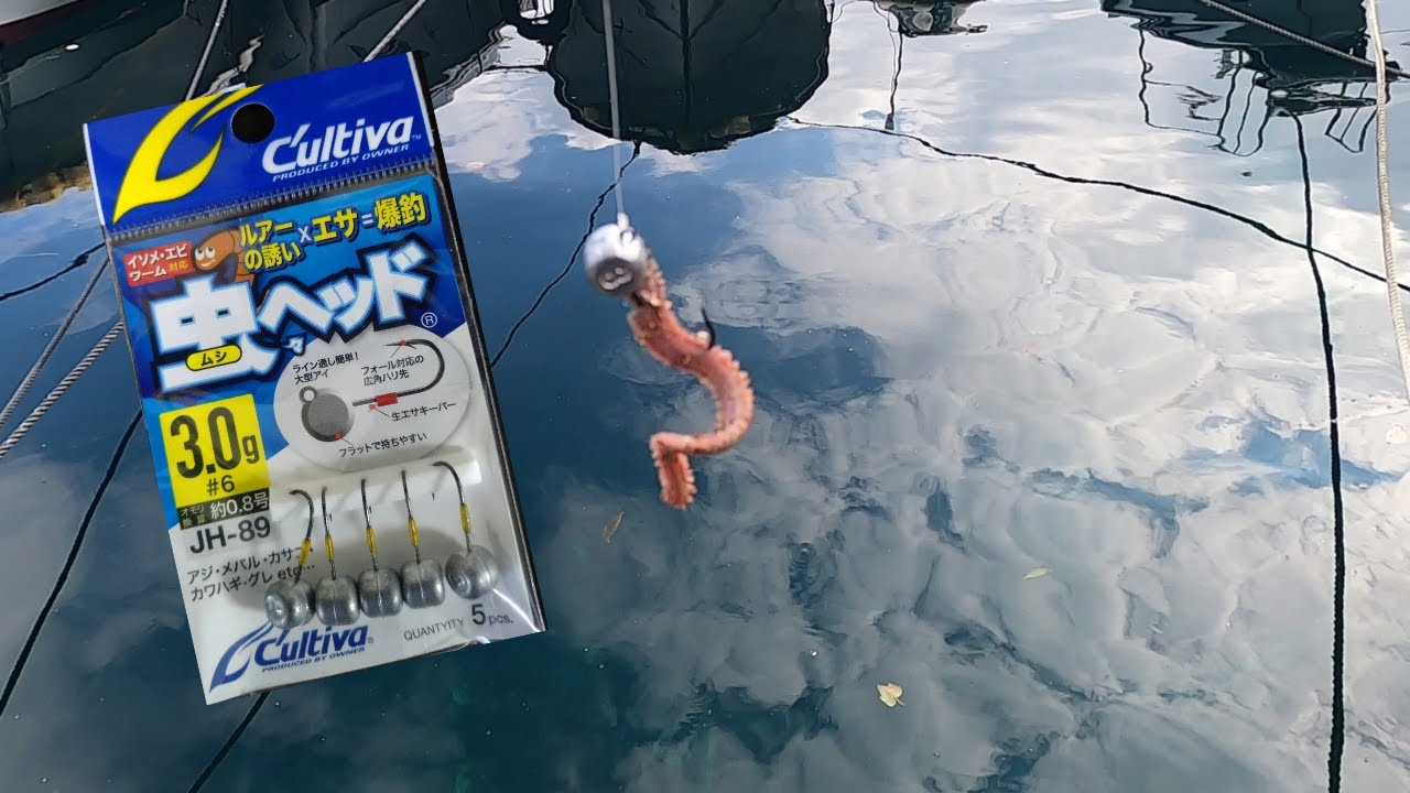 【鹿児島・長島】冬の堤防釣り！虫ヘッドで簡単仕掛け釣行。