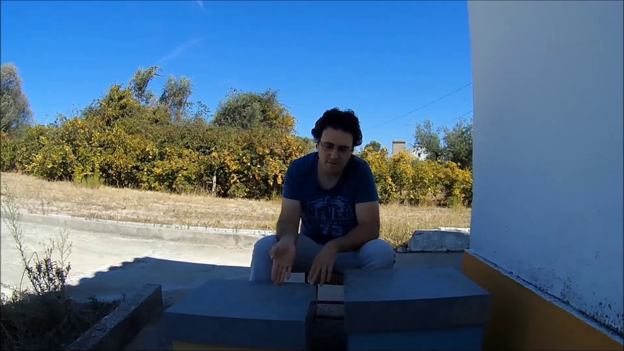 Colmeia Reversível VS Colmeia Lusitana