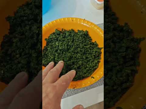 How to make Ivan-tea