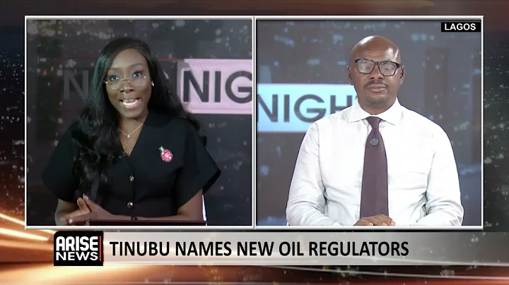 There Will be a Continuum After the Resignations of NMDPRA and NUPRC Chiefs – Sowunmi