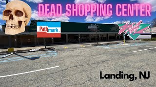 Dead Shopping Center w/Former Pathmark in Landing, NJ