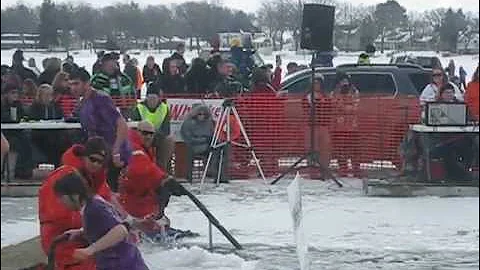 THE PLUNGE