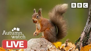  LIVE wildlife camera ? 28 October  BBC Autumnwatch 2022