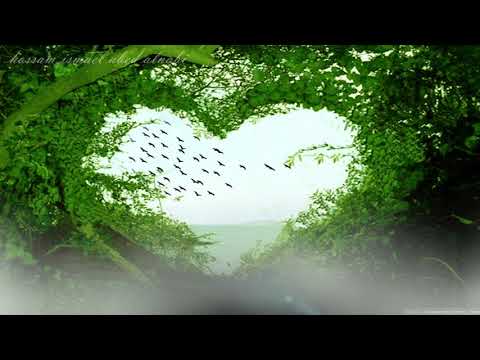 حالات واتس اب طبيعة 