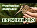 С наступающим 2021 годом!