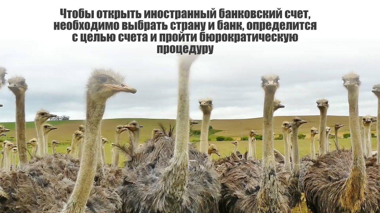 Как открыть счет за границей гражданам России - YouTube