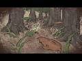 2D ANIMATION REEL MIGUEL VILLARROEL
